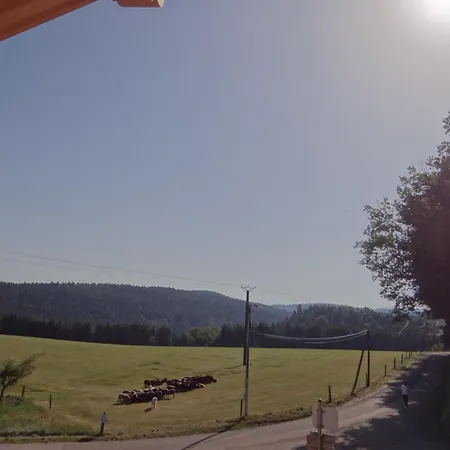 Des 4 Vents: Nature Et Activités Vosges - Fr-1-589-815 * Girmont-Val-d'Ajol