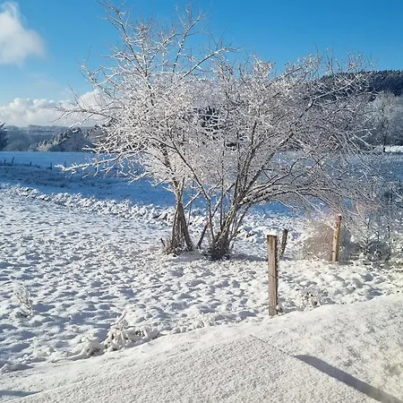 Casa vacanze Des 4 Vents: Nature Et Activités Vosges - Fr-1-589-815